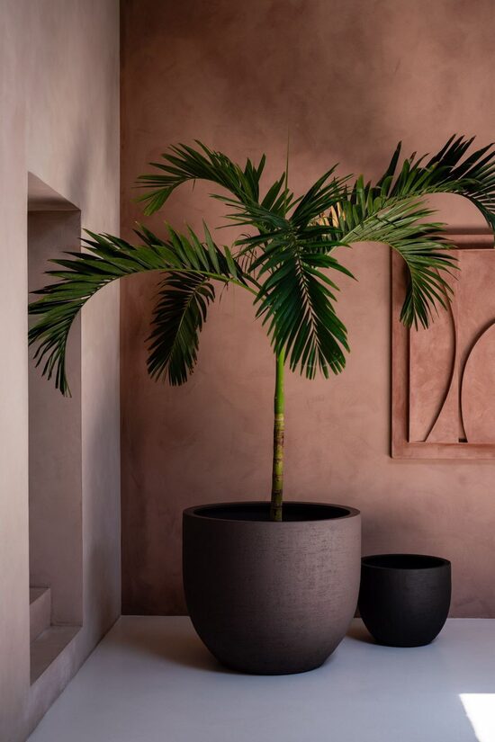 Puķu podu sērija Ash Brown Chocolate