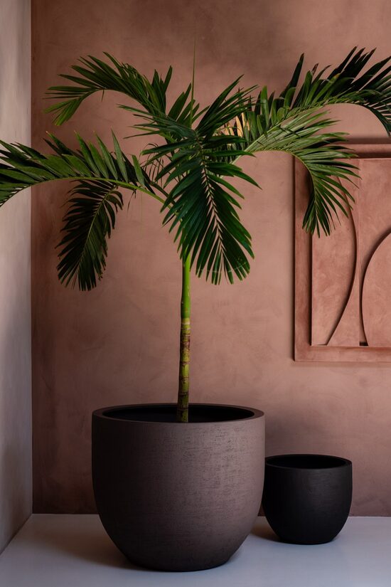 Ash Brown Chocolate klasisks puķu pods - izmērs L D65H54