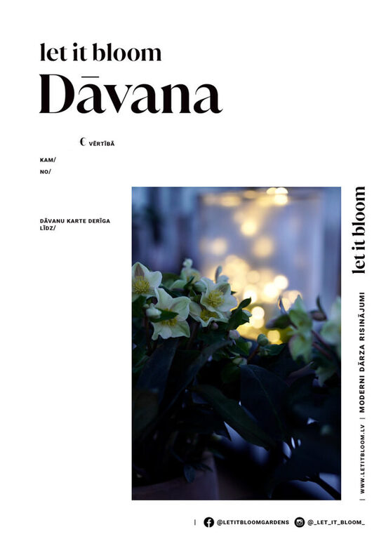 Elektroniska dāvanu karte - dāvanas vērtība pēc Tavas izvēles