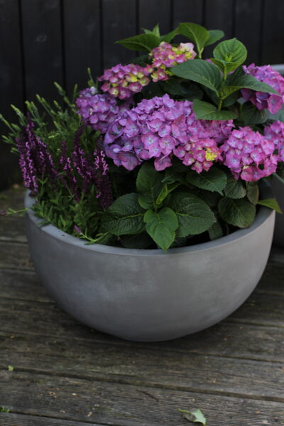 Pure Beton bļodveida puķu pods - izmērs M - D50H31