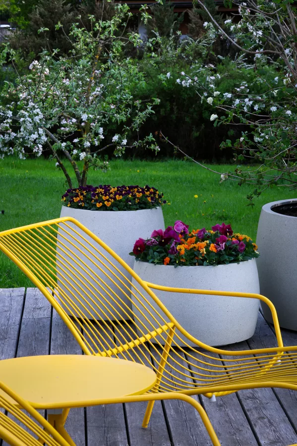 Puķu pods no sērijas White Oleander, atraitnīšu kompozīcija