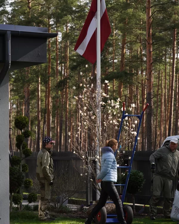 Stādam akcenta augus Evijas dārzā
