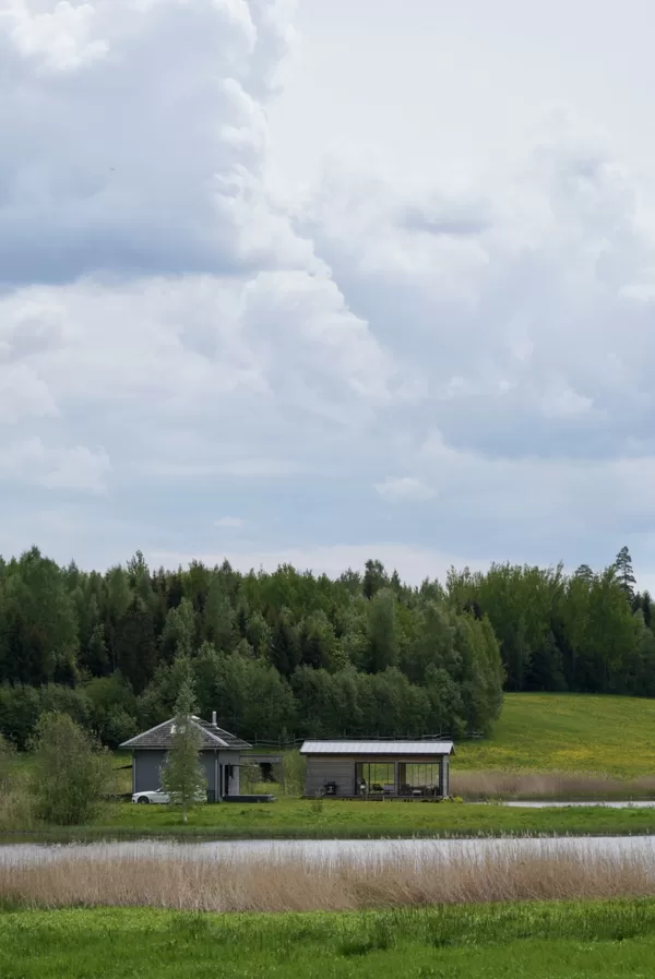 Taps dārza dizaina koncepts dārzam uz salas - teritorijas apskate